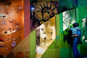 (c)Leeds Museums and Galleries Natural science displays at Leeds City Museum